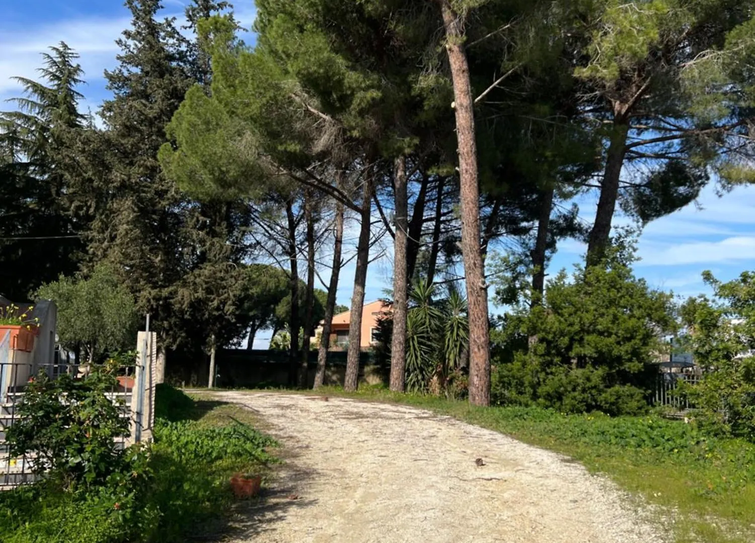Гостевой дом Arte In Villa Кальтаджироне Италия